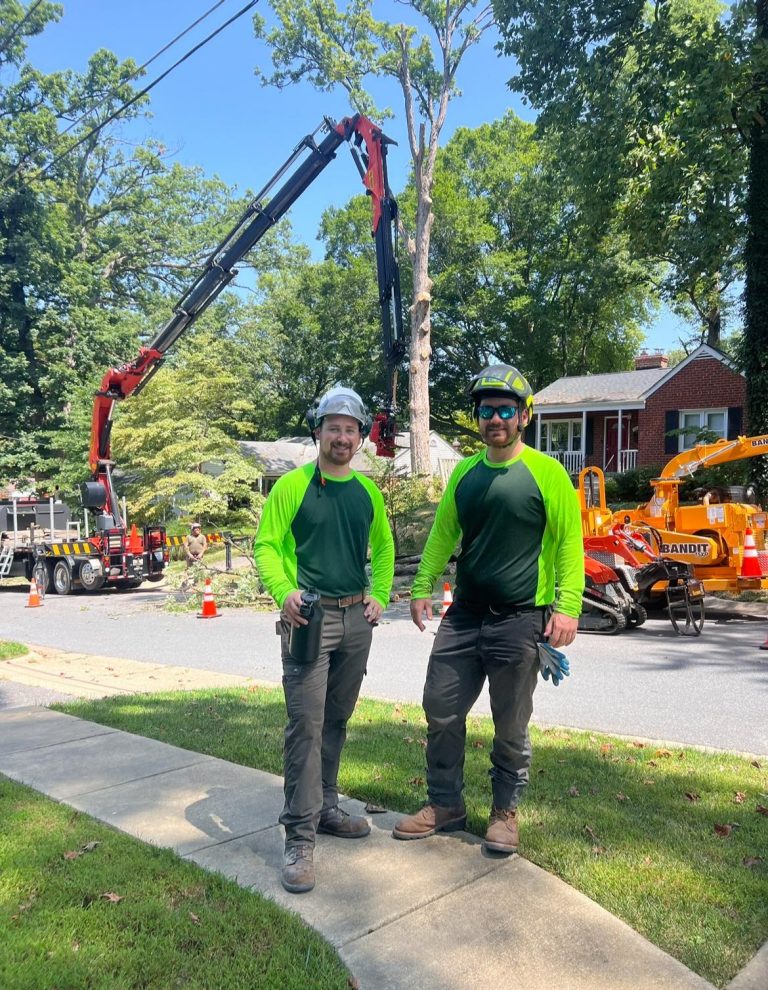 Pic11 E1773100657343 768x990