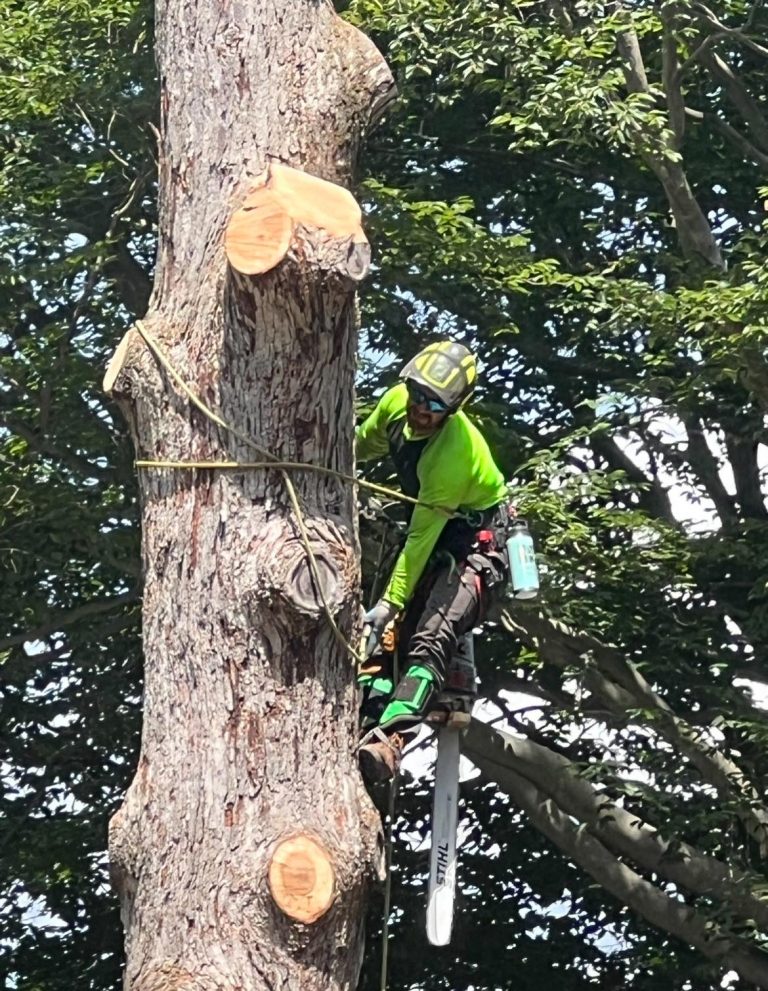 Pic14 E1773100728795 768x991