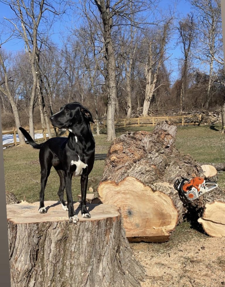 Pic15 E1773100753377 768x979